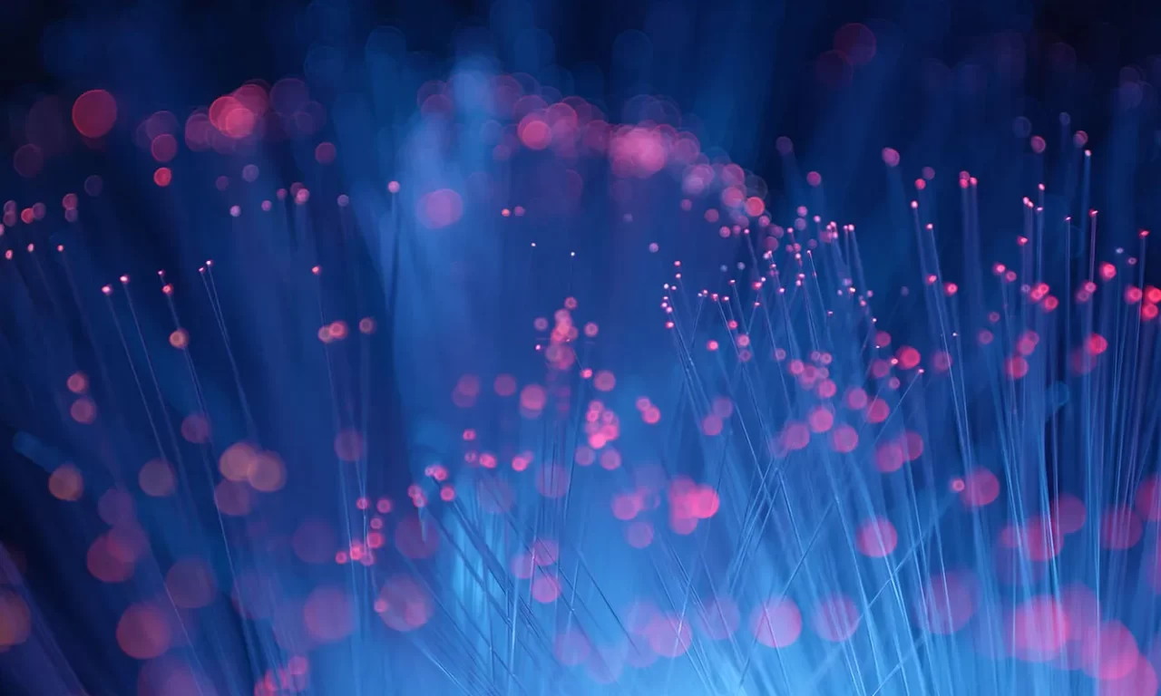 A Guide to SAP and Its Uses for Businesses